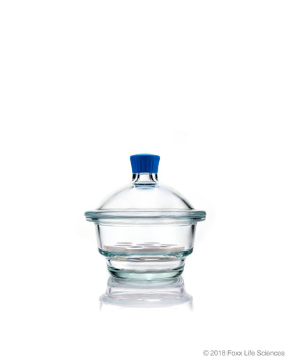 Borosil® Desiccator With Cover and Porcelain Plate, Plastic Knob, Borosilicate Glass 150 mm CS/1