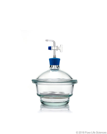 Borosil® Desiccator Vacuum, Stopcock with Polytetrafluoroethylene (PTFE) spindle and Porcelain plate, 150 mm, Borosilicate | img_1 | Foxx Life Sciences Global | shopfls.com