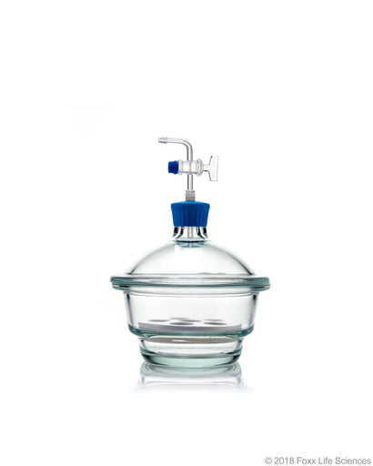 Borosil® Desiccator Vacuum, Stopcock with Polytetrafluoroethylene (PTFE) spindle and Porcelain plate, 150 mm, Borosilicate