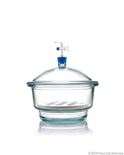 Borosil® Desiccator Vacuum, Stopcock with Polytetrafluoroethylene (PTFE) spindle and Porcelain plate, 250 mm, Borosilicate | img_1 | Foxx Life Sciences Global | shopfls.com