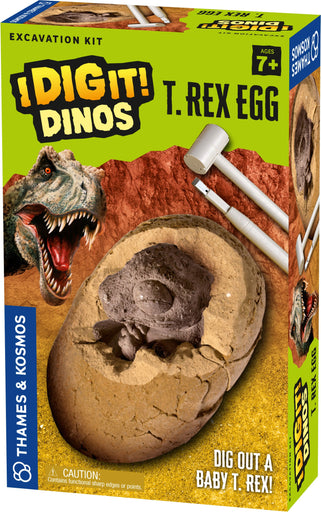 I Dig It! Dinos - T. Rex Egg Excavation Kit | img_1 | Foxx Life Sciences Global | shopfls.com