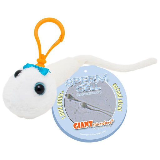 Sperm Cell (Spermatozoon) - GIANTmicrobes® Keychain - LabRatGifts
