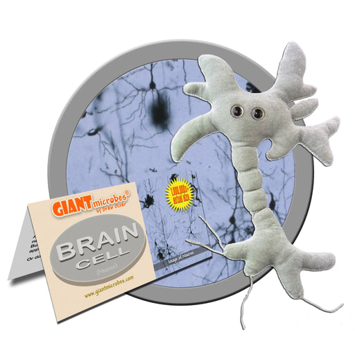 Brain Cell (Neuron) - GIANTmicrobes® Plush Toy | img_1 | Foxx Life Sciences Global | shopfls.com