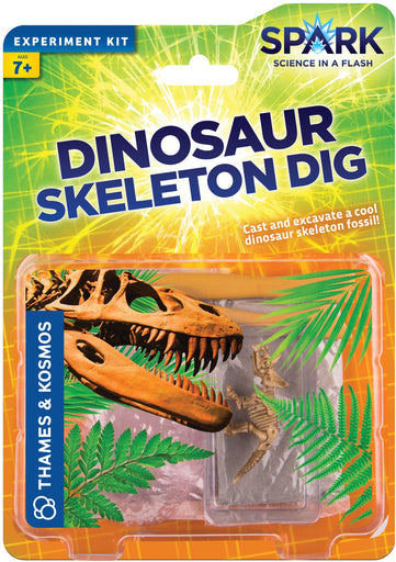 "Dinosaur Skeleton Dig" - Science Kit | img_1 | Foxx Life Sciences Global | shopfls.com