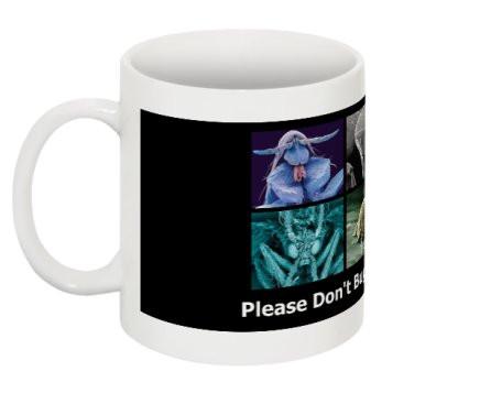 "Don't Bug Me" - Mug | img_1 | Foxx Life Sciences Global | shopfls.com