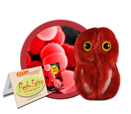 Flesh-Eating Disease (Streptococcus pyogenes) - GIANTmicrobes® Plush Toy | img_1 | Foxx Life Sciences Global | shopfls.com