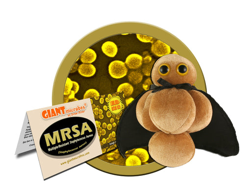 MRSA (Multiple-Resistant Staphylococcus Aureus) - GIANTmicrobes® Plush Toy | img_1 | Foxx Life Sciences Global | shopfls.com