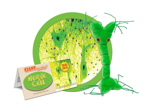 Nerve Cell (Neuron) - GIANTmicrobes® Plush Toy | img_1 | Foxx Life Sciences Global | shopfls.com