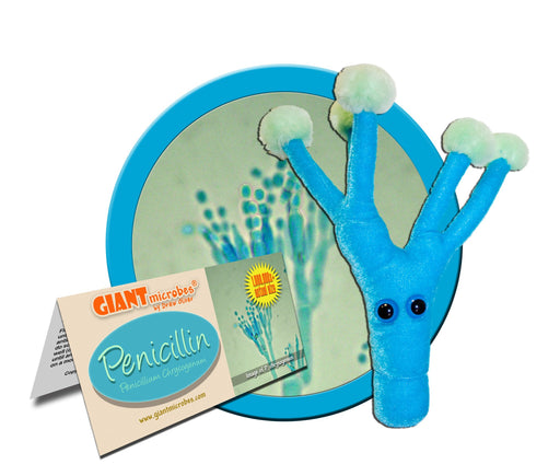 Penicillin (Penicillium Chrysogenum) - GIANTmicrobes® Plush Toy | img_1 | Foxx Life Sciences Global | shopfls.com