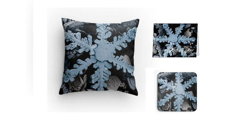 SEM Snowflake Image Pillow Set | img_1 | Foxx Life Sciences Global | shopfls.com