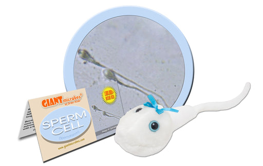 Sperm Cell (Spermatozoon) - GIANTmicrobes® Plush Toy | img_1 | Foxx Life Sciences Global | shopfls.com
