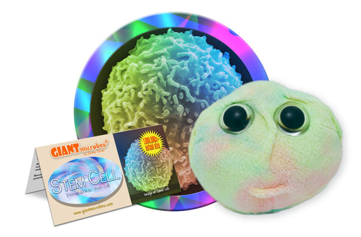 Stem Cell (Hematopoietic Stem Cell) - GIANTmicrobes® Plush Toy | img_1 | Foxx Life Sciences Global | shopfls.com