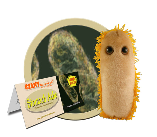 Stomach Ache (Shigella dysenteriae) - GIANTmicrobes® Plush Toy Default Title - LabRatGifts - 1