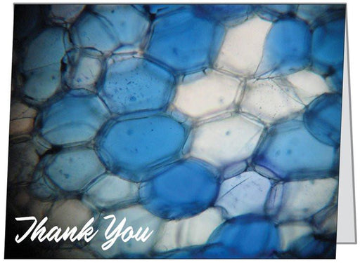 "Biology" - Thank You Card | img_1 | Foxx Life Sciences Global | shopfls.com