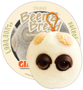 Beer & Bread (Saccharomyces Cerevisiae) - GIANTmicrobes® Keychain - LabRatGifts