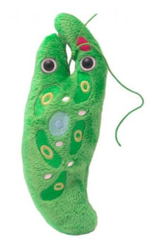 Euglena (Euglena Gracilis) - GIANTmicrobes® Plush Toy | img_1 | Foxx Life Sciences Global | shopfls.com