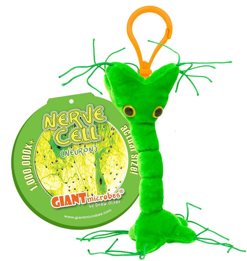 Nerve Cell (Neuron) - GIANTmicrobes® Keychain  - LabRatGifts