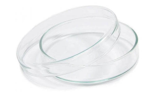 Borosil® Glass Petri Dishes with Covers, 200mm x 20mm (OD x H), CS/10 | img_1 | Foxx Life Sciences Global | shopfls.com