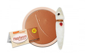 Heartworm (Dirofilaria immitis) - GIANTmicrobes® Plush Toy