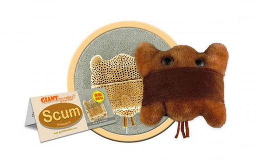 Scum (Biddulphia) - GIANTmicrobes® Plush Toy | img_1 | Foxx Life Sciences Global | shopfls.com