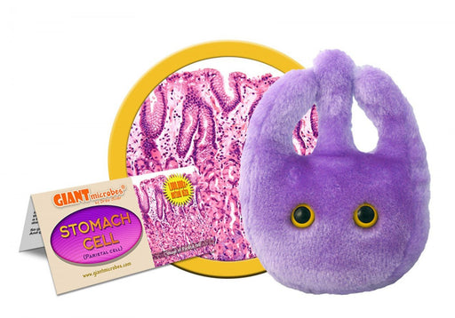 Stomach Cell (Parietal Cell) - GIANTmicrobes® Plush Toy | img_1 | Foxx Life Sciences Global | shopfls.com