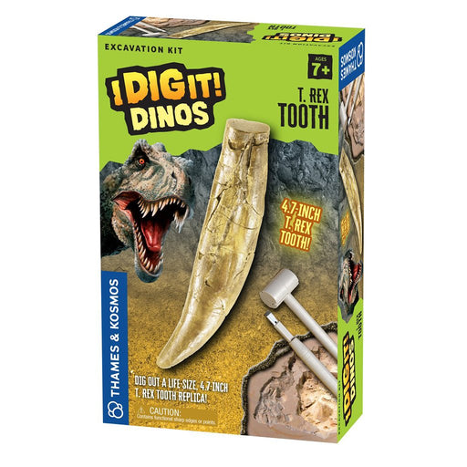 I Dig It! Dinos - T. Rex Tooth Excavation Kit | img_1 | Foxx Life Sciences Global | shopfls.com