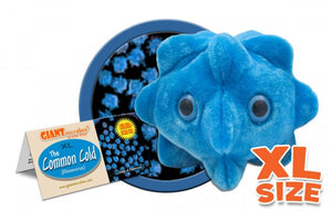 Common Cold (Rhinovirus) XL Size - GIANTmicrobes® Plush Toy
