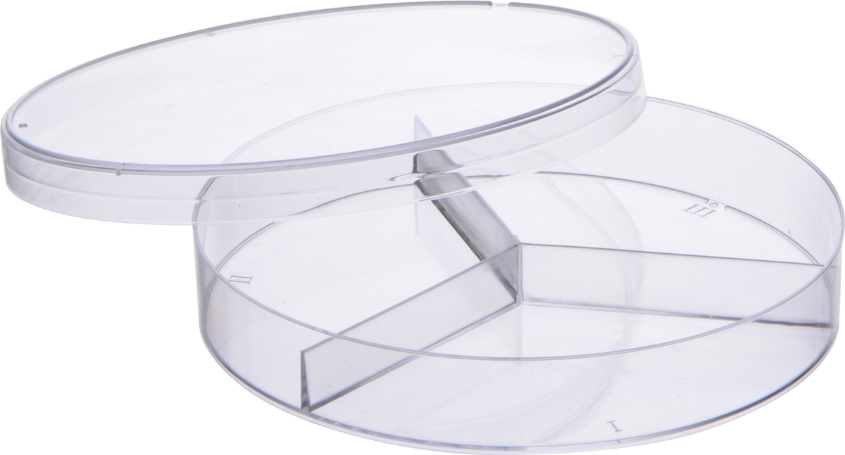 NEW Foxx Collection Feature: Petri Dishes