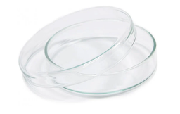 How to Choose the Right Petri Dish for Cell Culture and Microbiology