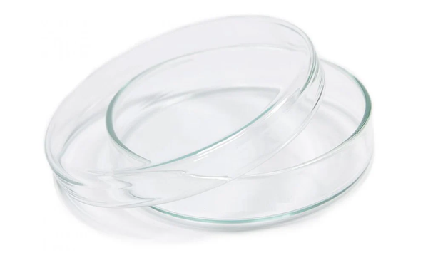 How to Choose the Right Petri Dish for Cell Culture and Microbiology