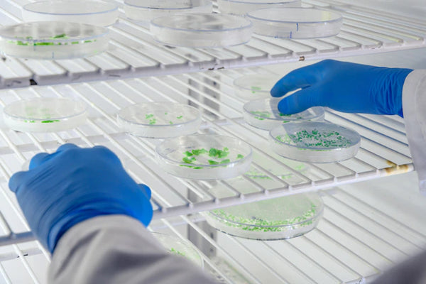 Single-Use-Systems and its Benefits in Biotherapeutics Manufacturing