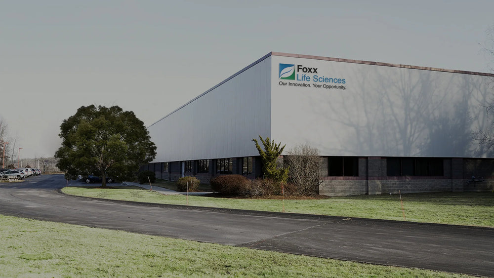 Our Global Presence & Capabilities