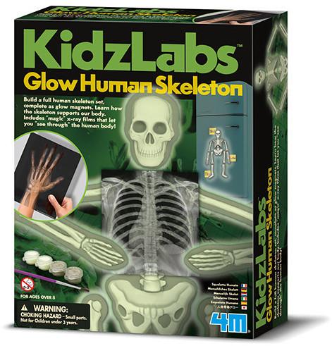 "Glow Human Skeleton" - Science Kit  - LabRatGifts - 1