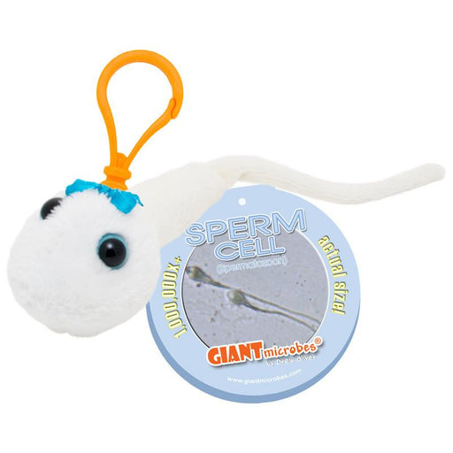 Sperm Cell (Spermatozoon) - GIANTmicrobes® Keychain  - LabRatGifts