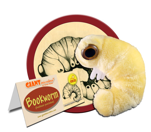 Book Worm (Anobium punctatum) - GIANTmicrobes® Plush Toy Default Title - LabRatGifts - 1