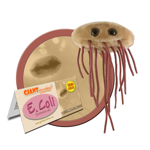 E. coli (Escherichia coli) - GIANTmicrobes® Plush Toy Default Title - LabRatGifts - 1