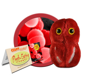 Flesh-Eating Disease (Streptococcus pyogenes) - GIANTmicrobes® Plush Toy