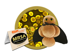 MRSA (Multiple-Resistant Staphylococcus Aureus) - GIANTmicrobes® Plush Toy