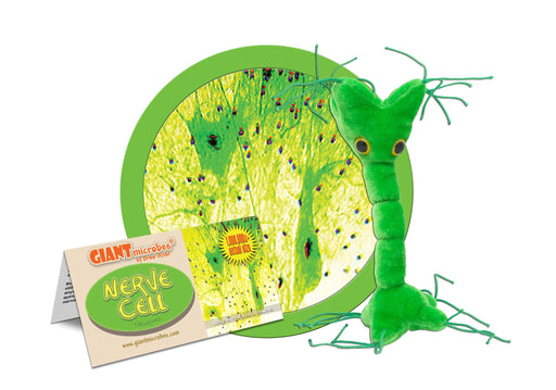 Nerve Cell (Neuron) - GIANTmicrobes® Plush Toy Default Title - LabRatGifts - 1
