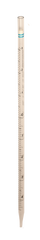 
    Serological Pipettes