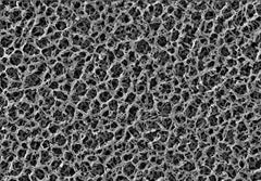 
    Filter Membrane Roll Stock