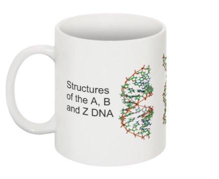 "Structures of DNA" - Mug  - LabRatGifts - 1