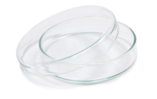 Borosil® Glass Petri Dishes with Covers, 150mm x 20mm (OD x H), CS/40