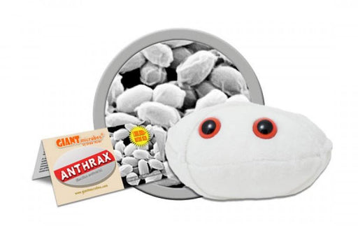 Anthrax (Bacillus anthracis) - GIANTmicrobes® Plush Toy  - LabRatGifts - 1