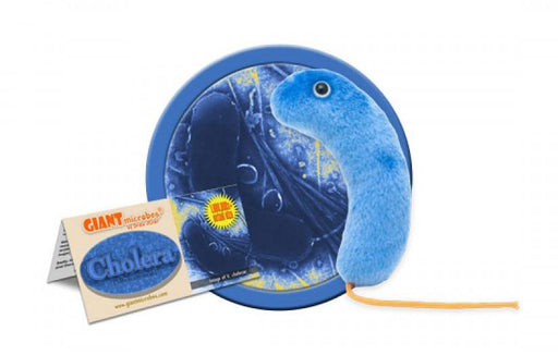 Cholera (Vibrio cholerae) - GIANTmicrobes® Plush Toy  - LabRatGifts - 1