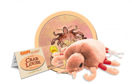 Crab Louse (Pthirus pubis) - GIANTmicrobes® Plush Toy  - LabRatGifts - 1