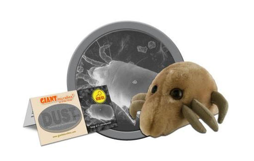 Dust Mite (Dermatophagoides Pteronyssinus) - GIANTmicrobes® Plush Toy  - LabRatGifts - 1