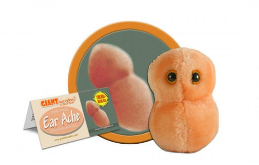 Ear Ache (Streptococcus pneumoniae) - GIANTmicrobes® Plush Toy  - LabRatGifts - 1