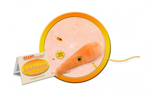 Leishmania (Leishmania tropica) - GIANTmicrobes® Plush Toy  - LabRatGifts - 1
