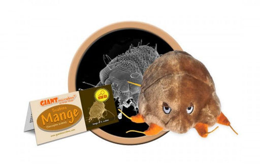 Mange (Sarcoptes scabei) - GIANTmicrobes® Plush Toy  - LabRatGifts - 1